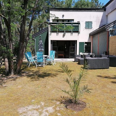 Superbe Appartement Dans La Pinede, Proche Ocean 拉卡诺 外观 照片